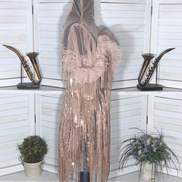 Bella Barnett Mini Dress Tassel Sequined Fringe Rose Pink Small - Picture 6 of 12